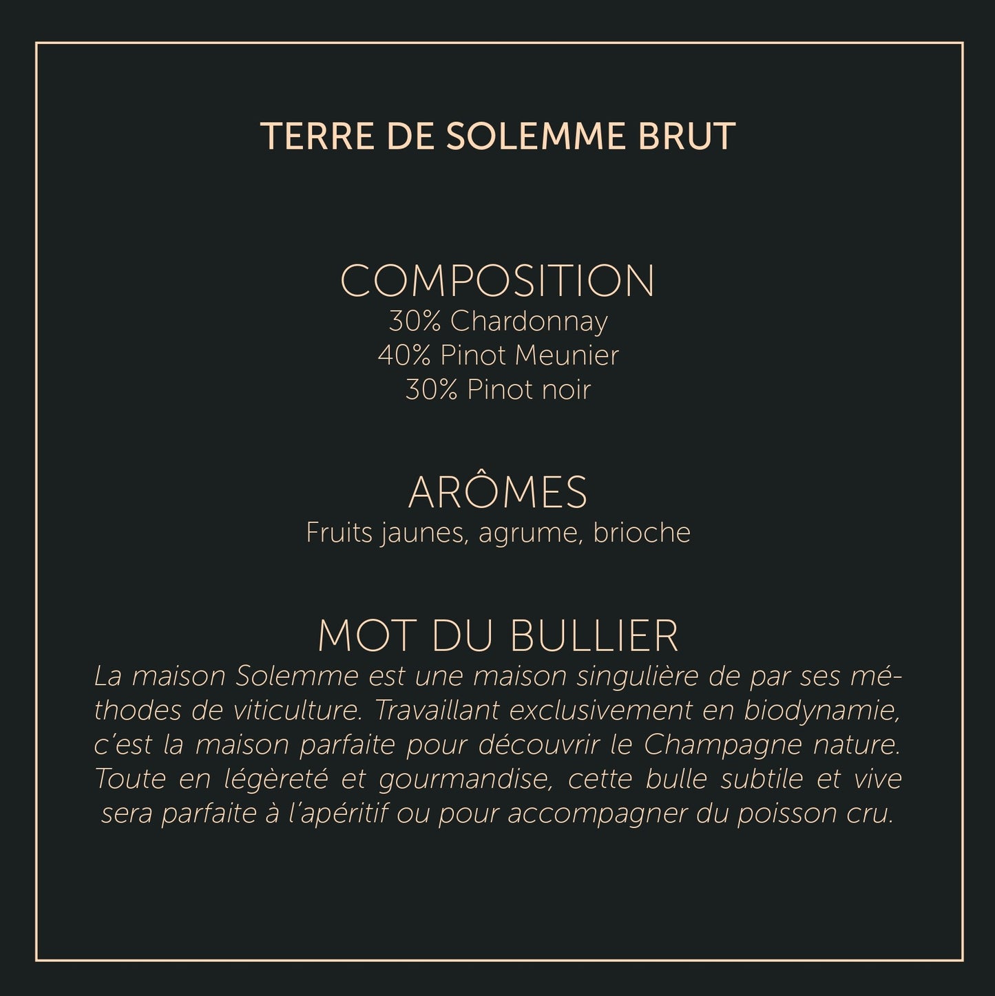 Terre de Solemme - Brut