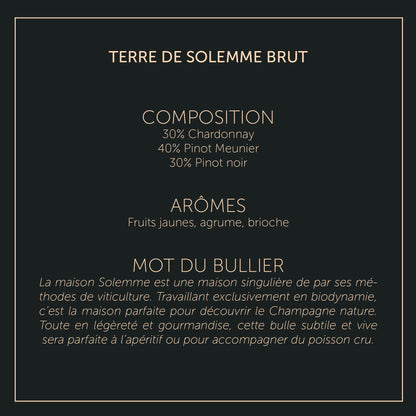 Terre de Solemme - Brut